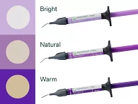 Filtek Easy Match Flowable Resortative Intro Kit / 3 x 2g
