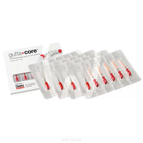GuttaCore Obturator / 6 szt.