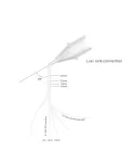 Igły do płukania Endostar ENDOflex needles / 20 szt.