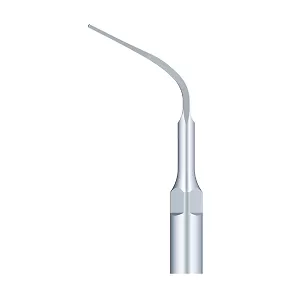 Końcówka do skalera Woodpecker (standard EMS) / P9