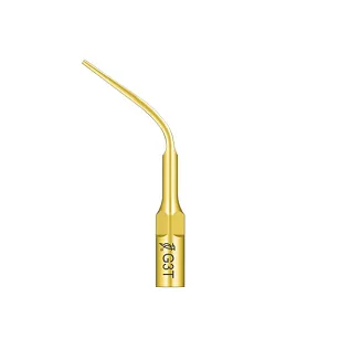 Końcówka do skalera Woodpecker (standard EMS) / G3T