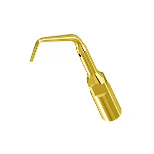 Końcówka do skalera Woodpecker (standard EMS) / G10T