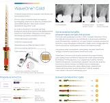WaveOne Gold  / 7 x Blister 3 szt. (dowolne rozmiary) + GRATIS: 3 x Wave OneGold Primary (3 szt.)