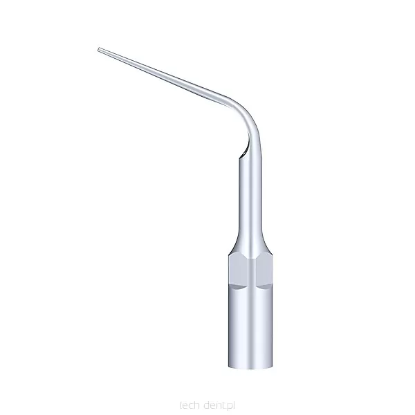 Końcówka do skalera Woodpecker (standard EMS) / P10