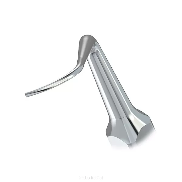 Końcówka do skalera Woodpecker (standard EMS) / P2R