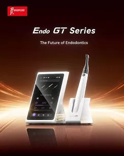 Mikrosilnik endodontyczny Woodpecker Endo GT Pro
