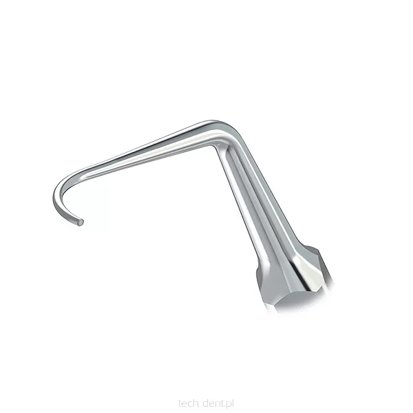 Końcówka do skalera Woodpecker (standard EMS) / P2L