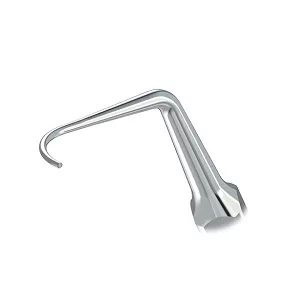 Końcówka do skalera Woodpecker (standard EMS) / P2L