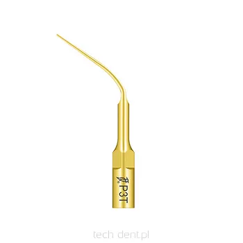 Końcówka do skalera Woodpecker (standard EMS) / P3T