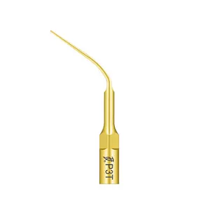 Końcówka do skalera Woodpecker (standard EMS) / P3T